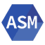 MIPS Assembly